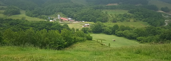 牧場の写真